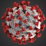Note liminaire du CCME au Gouvernement mauritanien pour la lutte contre la pandémie CORONAVIRUS : repenser à son développement dans un monde post-covid